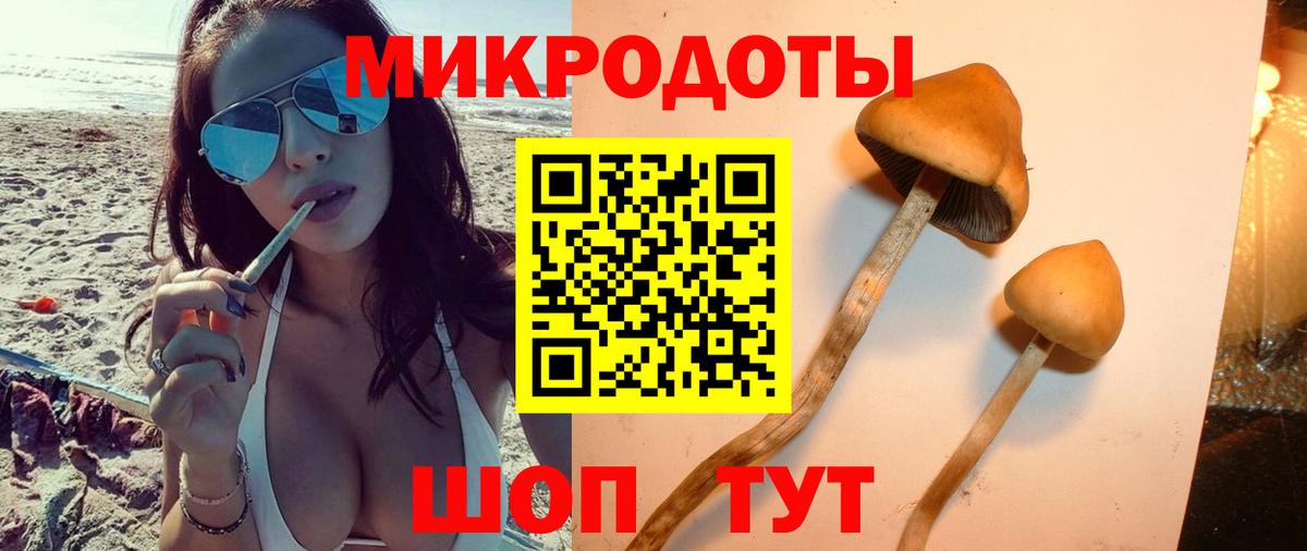 Ханты-Мансийск  Псилоцибиновые грибы мицелий  даркнет сайт  Галлюциногенные грибы Psilocybine cubensis  Вход с VPN 